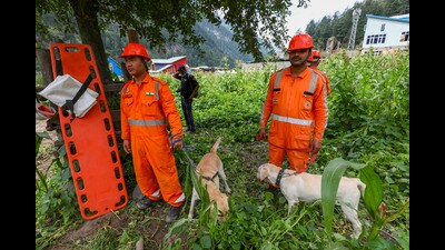 Search and rescue operation underway at cloudburst-hit Chisoti village, in Kishtwar district, on Tuesday. (PTI) Search and rescue operation underway at cloudburst-hit Chisoti village, in Kishtwar district, on Tuesday. (PTI)