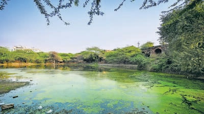 The DPCC, in its report on June 26, attached an analysis report of the water samples, stating it was not meeting the mandated norms. The DPCC, in its report on June 26, attached an analysis report of the water samples, stating it was not meeting the mandated norms.