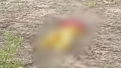 A playschool teacher was found dead in a field near a canal at Singhani village of Bhiwani district on August 13 (X/@SudeshGoyat2) A playschool teacher was found dead in a field near a canal at Singhani village of Bhiwani district on August 13 (X/@SudeshGoyat2)