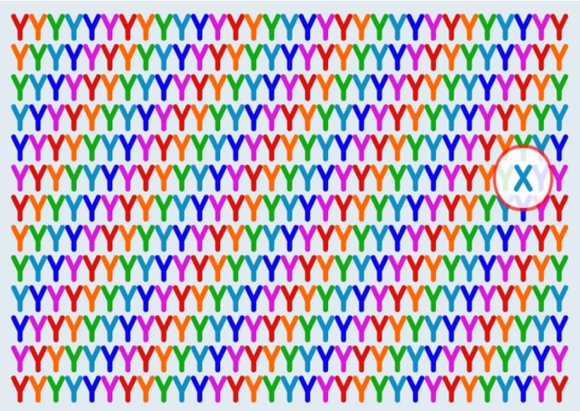 The 'X' can be overlooked by people since the repeated pattern causes brain to overlook subtle differences (Facebook) The 'X' can be overlooked by people since the repeated pattern causes brain to overlook subtle differences (Facebook)