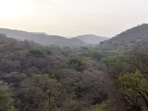 A scientific understanding of what constitutes a forest in a particular geography, with its unique climatological canvas is what Haryana needs. (HT PHOTO)