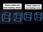 Can you figure out why these cubes look like they’re rotating? Can you figure out why these cubes look like they’re rotating?