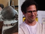 Why Andy Samberg is being roasted after Seth Meyers' dog Frisbee's death (sethmeyers/Instagram, photo by Chris DELMAS / AFP)