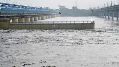 Yamuna river after the water level of the river rises (HT) Yamuna river after the water level of the river rises (HT)