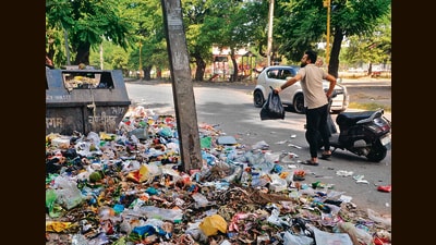 Civic officials admitted that these actions have led to unhygienic conditions and littering in various neighbourhoods. (REPRESENTATIVE PIC) Civic officials admitted that these actions have led to unhygienic conditions and littering in various neighbourhoods. (REPRESENTATIVE PIC)