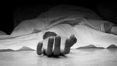 Eyewitnesses told police that the victim had suddenly emerged from bushes along the roadside and stepped onto the highway without noticing the approaching vehicle. (HT File)