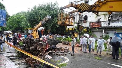 The tree that fell in Kalkaji earlier this month, killing a man and injuring his daughter. (ANI) The tree that fell in Kalkaji earlier this month, killing a man and injuring his daughter. (ANI)