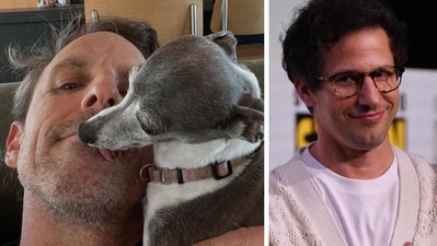 Why Andy Samberg is being roasted after Seth Meyers' dog Frisbee's death (sethmeyers/Instagram, photo by Chris DELMAS / AFP)