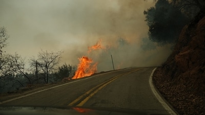 Dense smoke from the Mile Marker 39 and Sawgrass wildfires is impacting visibility in South Florida. (Representative Image: Unsplash)