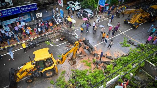 A massive tree fell on busy road amid heavy rains at Kalkaji on August 14. Two people were injured and rescued by local police.