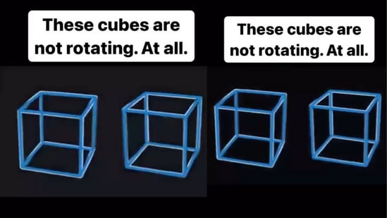 Can you figure out why these cubes look like they’re rotating? (@michaeloftiktokofficial/Instagram)