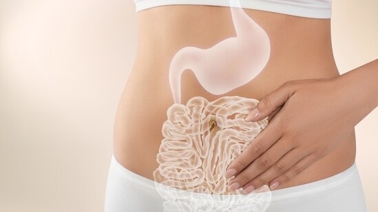 Check out simple steps to heal leaky gut and boost health. (Shutterstock)