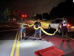 The python weighed over 140 pounds. The python weighed over 140 pounds.