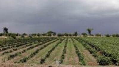 Families that lose their houses to the project will be rehabilitated in an Aero City township where future land values are projected at  ₹1 to  ₹2 crore per plot. (HT FILE)
