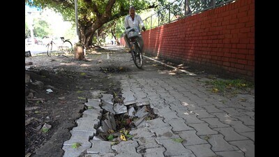 The dislodged paver blocks at the cycle track in Sector 19, Chandigarh. (Keshav Singh/HT)