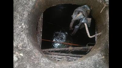 The incident occurred around 3 pm on August 15, near Nirmal Villa, Sector 27/A, Nigdi Pradhikaran. (HT FILE)