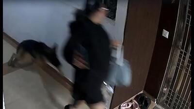 The woman was waiting for lift when the two German Shepherd dogs attacked her and chased her in the corridor. (HT Photo) The woman was waiting for lift when the two German Shepherd dogs attacked her and chased her in the corridor. (HT Photo)