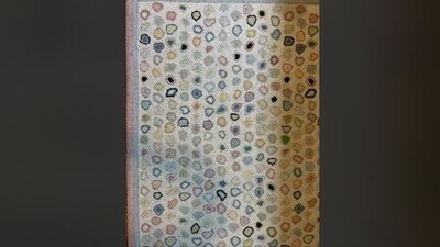 This image features a guitar pick hidden somewhere in the background. Try to find it out. (Reddit)