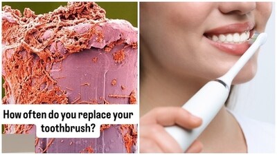 The nutritionist pointed out that cleaning the brush with alcohol, hydrogen peroxide, or hot water is not super effective. (Instagram: Cathy Cooke and Shutterstock) The nutritionist pointed out that cleaning the brush with alcohol, hydrogen peroxide, or hot water is not super effective. (Instagram: Cathy Cooke and Shutterstock)
