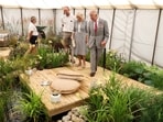  King Charles and Queen Camilla's Sandringham residence has been plagued by wasps recently.