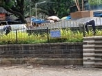 The kabutarkhana has transformed into a beautified traffic island.