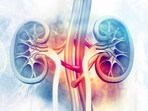 The Importance of Regular Kidney Screening for Patients with Diabetes The Importance of Regular Kidney Screening for Patients with Diabetes