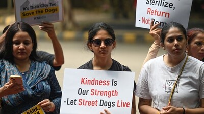 Dog lovers staged a Dharna Protest to raise their voice to 'Save Delhi NCR dogs' at Jantar Mantar (Hindustan Times) Dog lovers staged a Dharna Protest to raise their voice to 'Save Delhi NCR dogs' at Jantar Mantar (Hindustan Times)