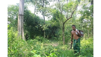 The dramatic reduction occurred despite state authorities acknowledging the area consists of “unclassed state forest” with 20% to 70% tree cover that “falls within the definition of forest (Parikhit Saikia / HT Archive) The dramatic reduction occurred despite state authorities acknowledging the area consists of “unclassed state forest” with 20% to 70% tree cover that “falls within the definition of forest (Parikhit Saikia / HT Archive)