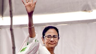 West Bengal Chief Minister Mamata Banerjee congratulated candidates after the declaration of the WBJEE Results 2025 on August 22, 2025. (File/PTI)