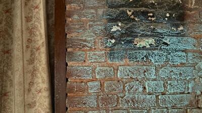 The paint on the brick walls appears to be fading; the bricks themselves are evoking sympathy for their plight. (HT Photo) The paint on the brick walls appears to be fading; the bricks themselves are evoking sympathy for their plight. (HT Photo)