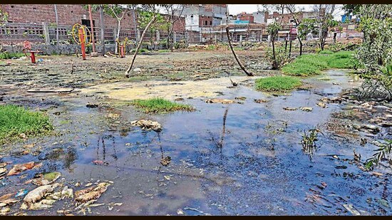Cow dung dumped in a park in Block C of the dairy complex at Tajpur Road on Friday. (Gurpreet Singh/HT)