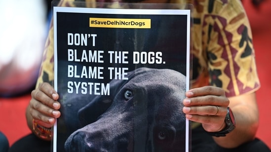 Dog lovers staged a Dharna Protest to raise their voice to 'Save Delhi NCR dogs' at Jantar Mantar in New Delhi on Thursday. (Vipin Kumar/ Hindustan Times)