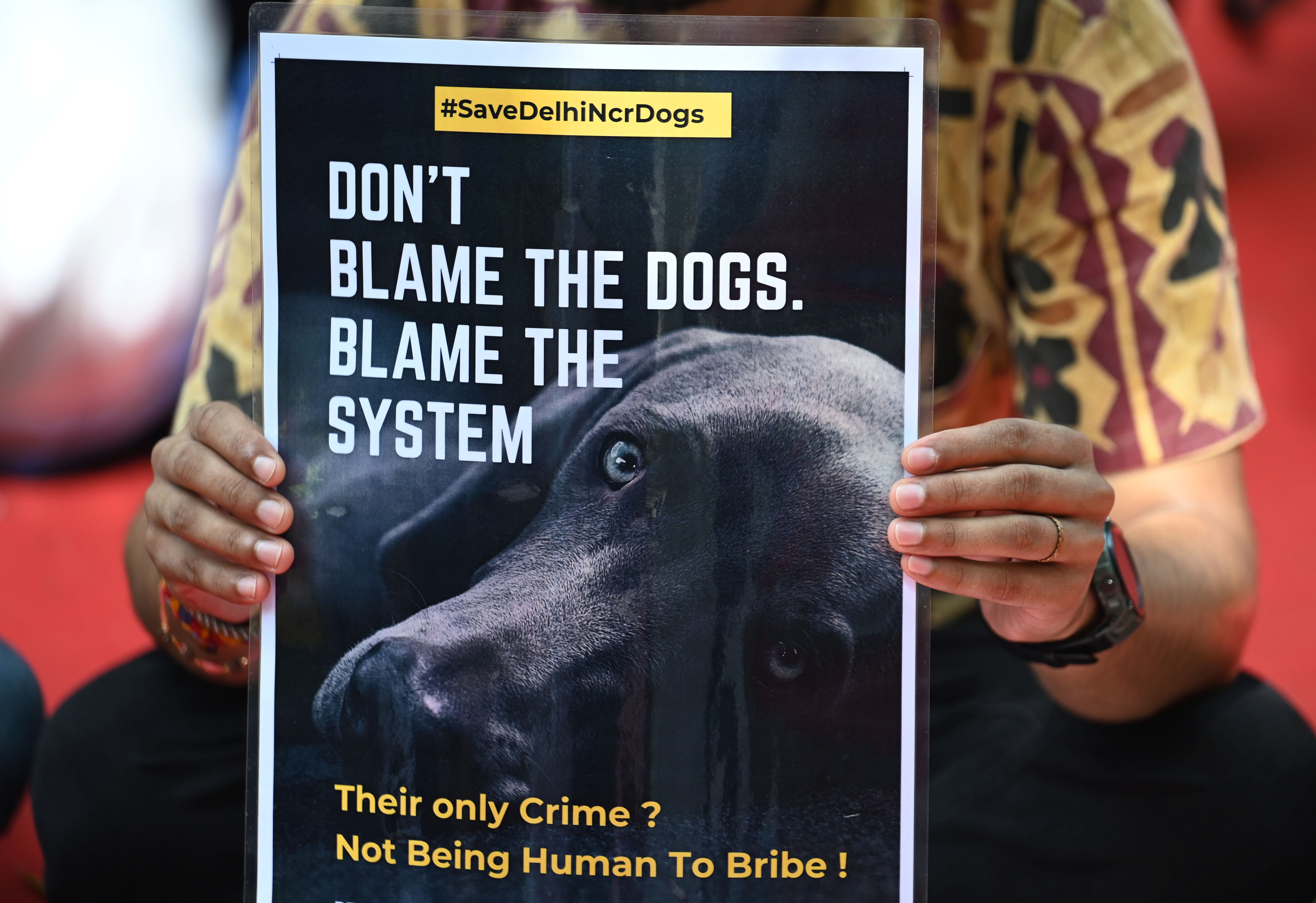 Dog lovers staged a Dharna Protest to raise their voice to 'Save Delhi NCR dogs' at Jantar Mantar in New Delhi on Thursday. (Vipin Kumar/ Hindustan Times) Dog lovers staged a Dharna Protest to raise their voice to 'Save Delhi NCR dogs' at Jantar Mantar in New Delhi on Thursday. (Vipin Kumar/ Hindustan Times)