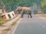 Retired IFS Officer Susanta Nanda posted a clip of an elephant toppling a mini truck.