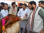 Haryana chief minister Nayab Singh Saini during an event in Fatehabad on Saturday. (Sourced) Haryana chief minister Nayab Singh Saini during an event in Fatehabad on Saturday. (Sourced)