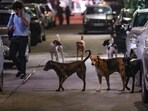 Vaishnavi was returning home from an institute in Maharajpur when she was attacked by the dogs near Madhuvan Park. (PTI Photo/Shahbaz Khan) Vaishnavi was returning home from an institute in Maharajpur when she was attacked by the dogs near Madhuvan Park. (PTI Photo/Shahbaz Khan)