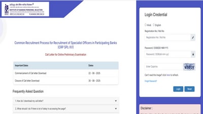 IBPS SO Prelims Admit Card 2025 released at ibps.in, direct link to download here IBPS SO Prelims Admit Card 2025 released at ibps.in, direct link to download here