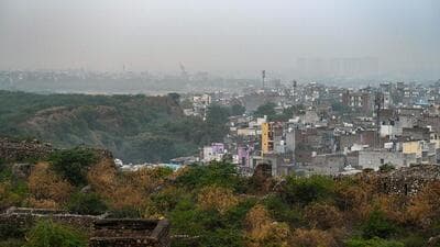 In the latest submission dated August 21, the forest department said it will notify the southern Ridge in three phases, with Phase 1 to be notified first, within the next two months. (HT Archive) In the latest submission dated August 21, the forest department said it will notify the southern Ridge in three phases, with Phase 1 to be notified first, within the next two months. (HT Archive)