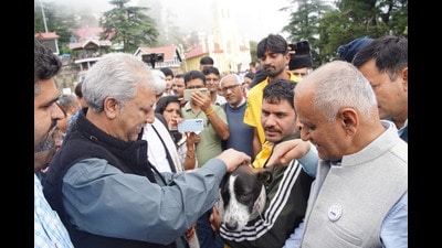 The Shimla Municipal Corporation has launched a stray dog monitoring program using GPS collars and QR codes, aiming to enhance public safety and reduce rabies cases in Shimla on Saturday. (Deepak Sansta/ HT)