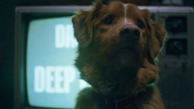 Good Boy is slated for release on October 3 (IMDb) Good Boy is slated for release on October 3 (IMDb)