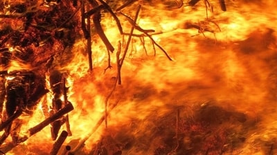Multiple wildfires burning across Oregon are expected to bring unhealthy air quality to parts of the state. (Pixabay) Multiple wildfires burning across Oregon are expected to bring unhealthy air quality to parts of the state. (Pixabay)