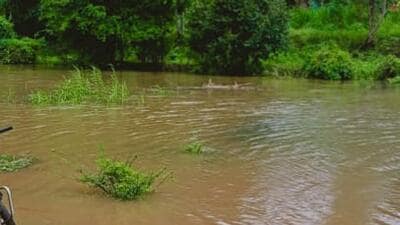 A breach in the dhussi bandh on Sunday flooded Mehtabpur village in Mukerian sub-division, forcing people to leave their homes. The breach has caused flood-like situation in Motla, Sanial, Miani, Mashahpur, Haler and Kolian villages also. Farmers are staring at heavy losses as floodwater has entered their farmlands. (HT Photo) A breach in the dhussi bandh on Sunday flooded Mehtabpur village in Mukerian sub-division, forcing people to leave their homes. The breach has caused flood-like situation in Motla, Sanial, Miani, Mashahpur, Haler and Kolian villages also. Farmers are staring at heavy losses as floodwater has entered their farmlands. (HT Photo)