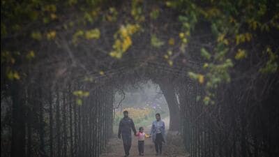Buddha Jayanti Park in 2021. (HT Archive) Buddha Jayanti Park in 2021. (HT Archive)