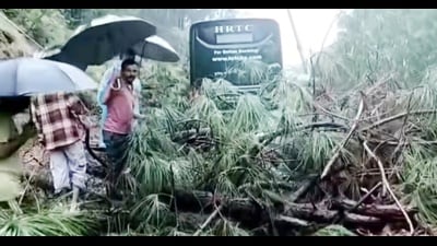 On the Bharmour–Pathankot highway at Bathri’s Patna Mod, a Delhi–Chamba Volvo bus and a car were hit by debris, though all passengers escaped unhurt. (HT Photo) On the Bharmour–Pathankot highway at Bathri’s Patna Mod, a Delhi–Chamba Volvo bus and a car were hit by debris, though all passengers escaped unhurt. (HT Photo)