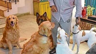 They are the dogs who have been part of our family over the last three decades and the source of immense joy, laughter, solace, comfort—and grief—when they pass on. (Representative photo) They are the dogs who have been part of our family over the last three decades and the source of immense joy, laughter, solace, comfort—and grief—when they pass on. (Representative photo)