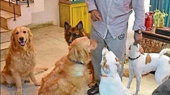 They are the dogs who have been part of our family over the last three decades and the source of immense joy, laughter, solace, comfort—and grief—when they pass on. (Representative photo)