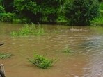 A breach in the dhussi bandh on Sunday flooded Mehtabpur village in Mukerian sub-division, forcing people to leave their homes. The breach has caused flood-like situation in Motla, Sanial, Miani, Mashahpur, Haler and Kolian villages also. Farmers are staring at heavy losses as floodwater has entered their farmlands. (HT Photo)