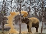 The Supreme Court said the order only sought a fact-finding inquiry to ascertain the true factual position to enable the court to pass further orders The Supreme Court said the order only sought a fact-finding inquiry to ascertain the true factual position to enable the court to pass further orders