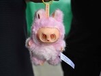 Labubu doll was spotted in Russian Su-34 plane.