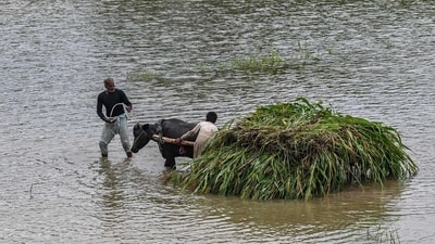 Severe weather is set to “continue into early September’, raising risks of more disasters in Pakistan, the UN Office for the Coordination of Humanitarian Affairs had said on Aug 21. (AFP)